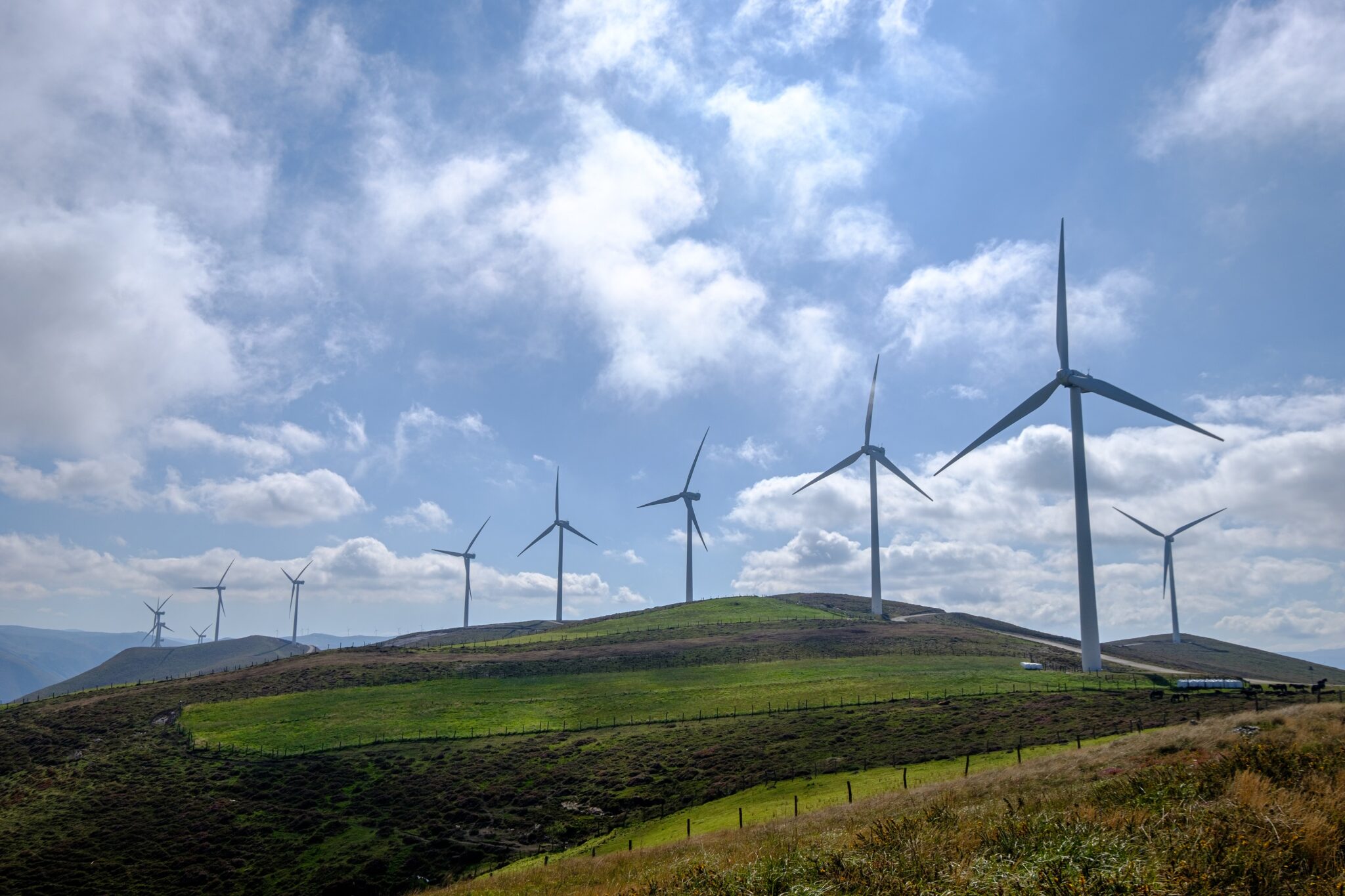 Una serie di pale eoliche lungo una collina. Uno studio pubblicato su Science ha individuato 63 politiche che hanno funzionato contro la crisi climatica.