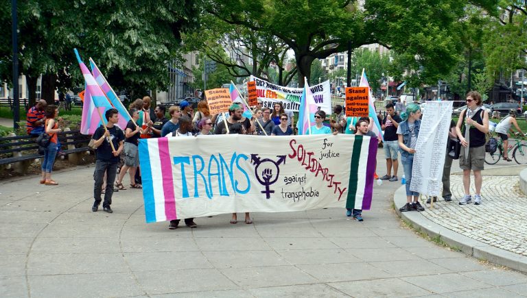 Trans Solidarity Rally and March (Washington DC, 17 maggio 2015)